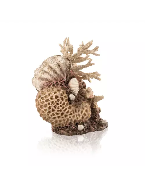 OASE biOrb Korallen-Muschel Ornament natural