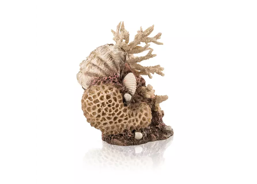 OASE biOrb Korallen-Muschel Ornament natural