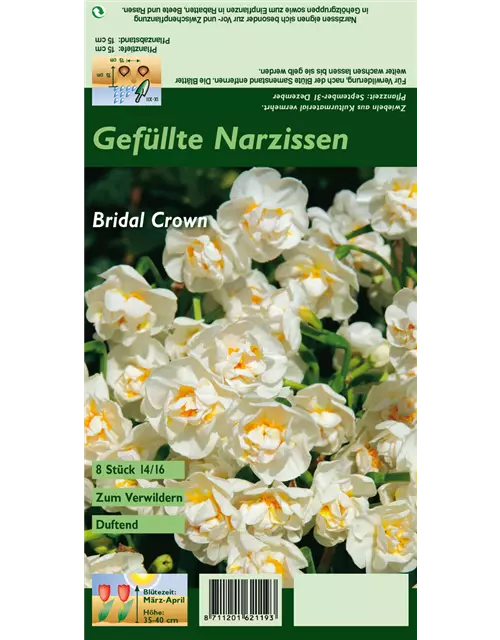 Narzisse 'Bridal Crown'