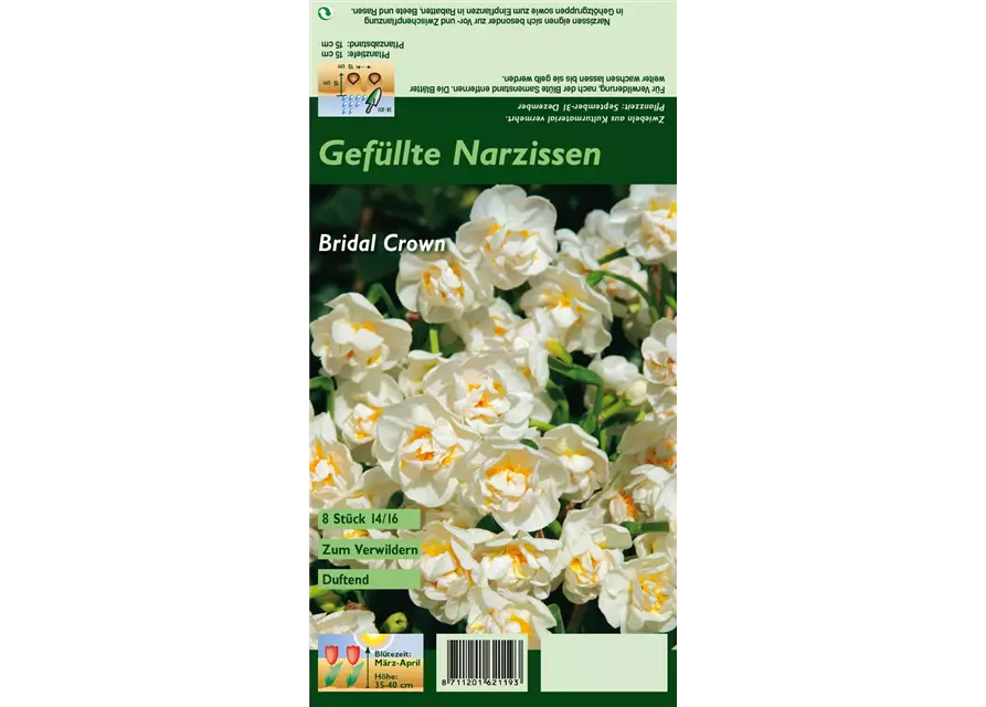 Narzisse 'Bridal Crown'