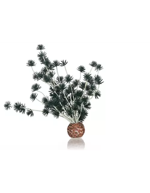 OASE biOrb Bonsai Ball schwarz