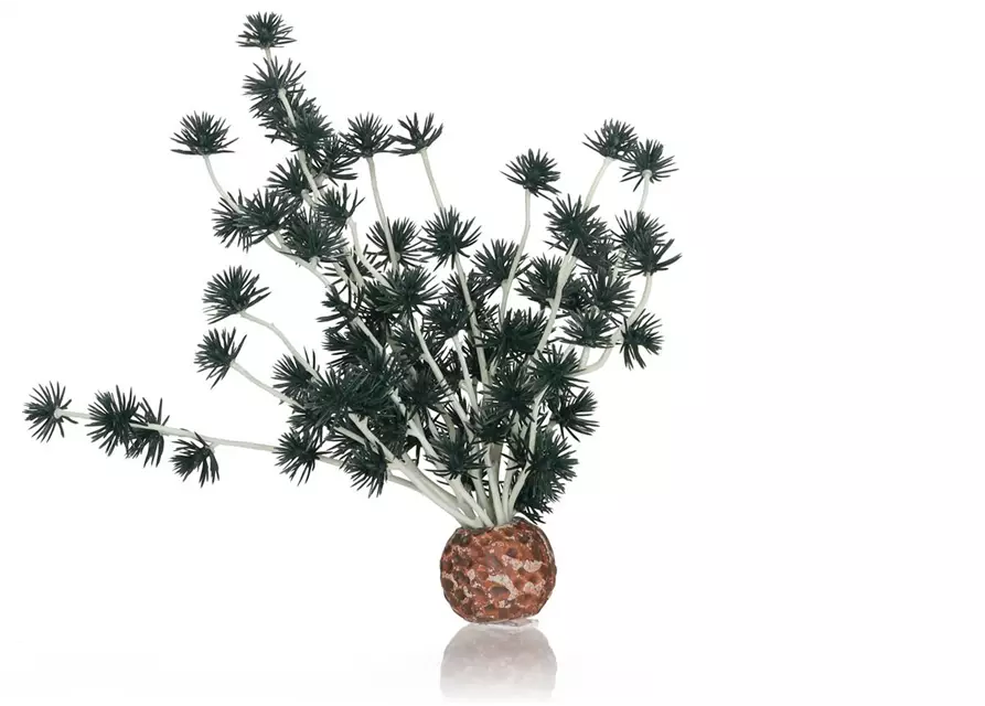 OASE biOrb Bonsai Ball schwarz