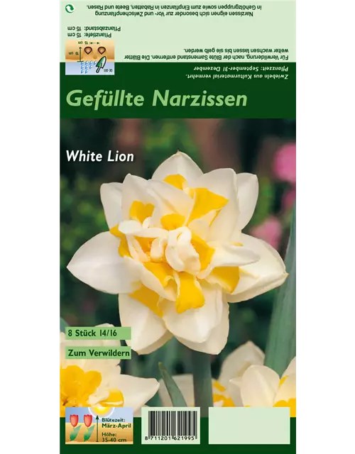 Narzisse 'White Lion'