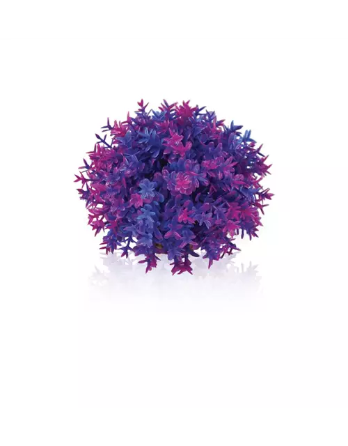 OASE biOrb Blumenball lila