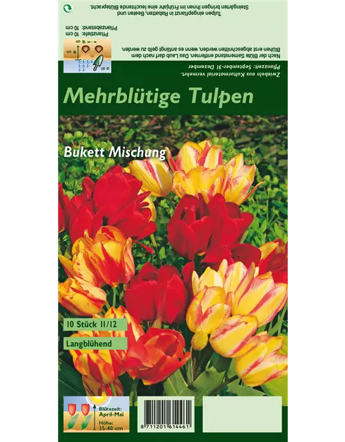 Mehrblütige Tulpe 'Bukett'