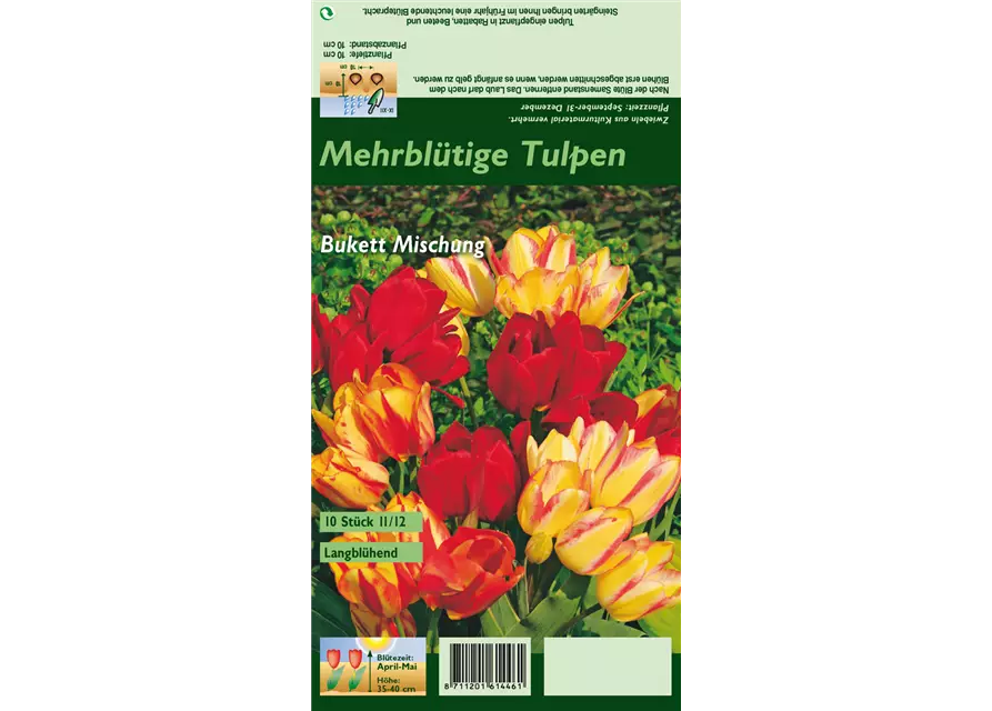 Mehrblütige Tulpe 'Bukett'