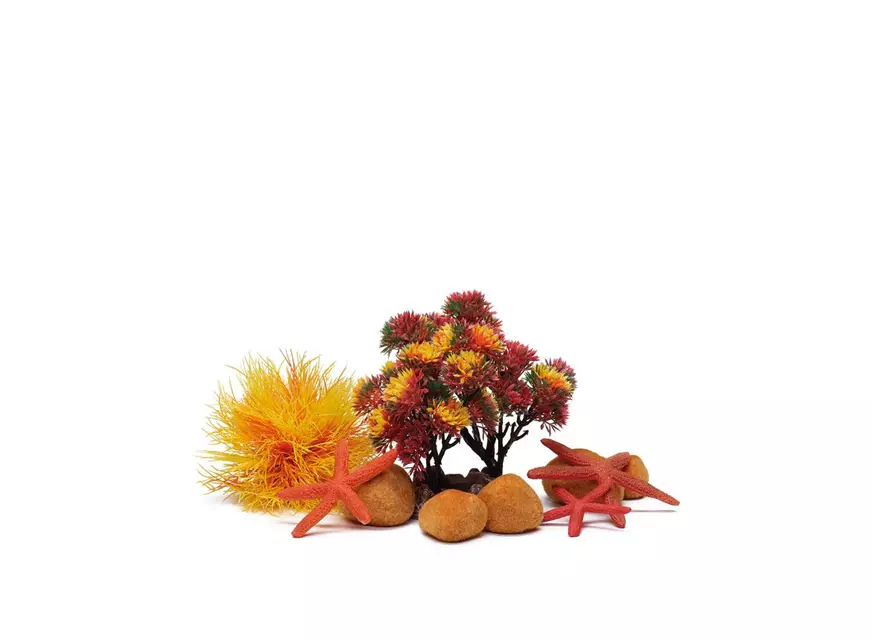 OASE biOrb Decor Set 15L Herbst