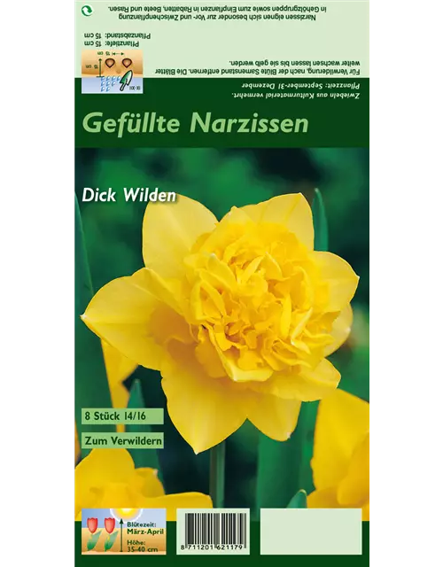 Narzisse 'Dick Wilden'