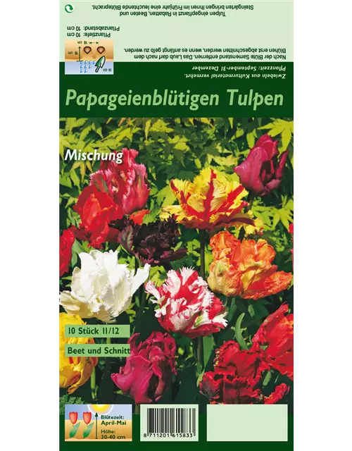 Papageien-Tulpen