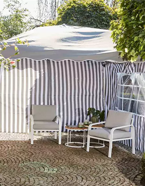 Siena Garden Faltpavillon 300x300x262cm grau Aluminium