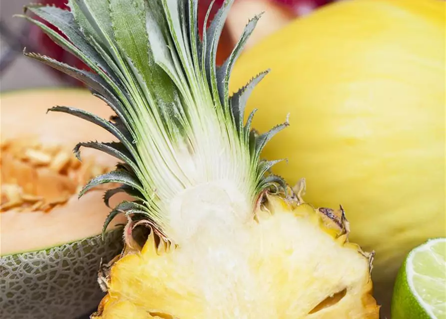 Süße Ananas