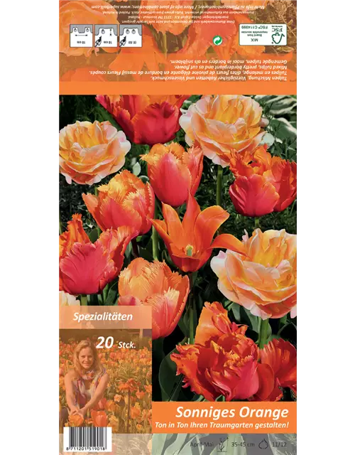 Tulpen 'Ton in Ton - Sonniges Orange'