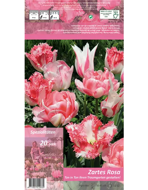 Tulpen 'Ton in Ton - Zartes Rosa'