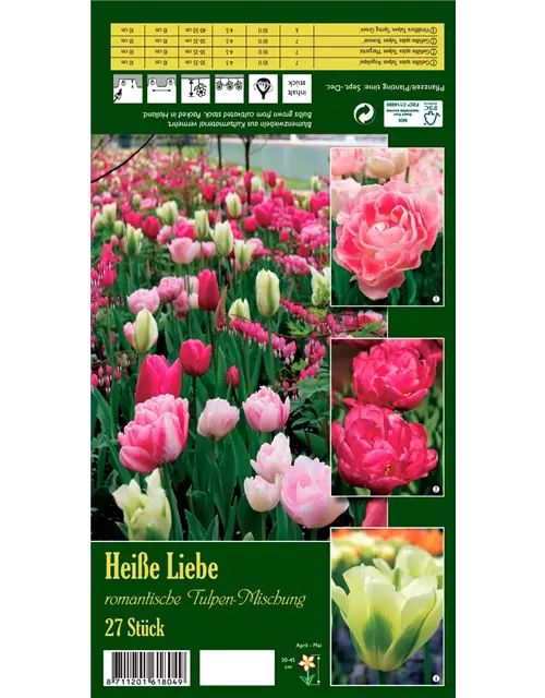 Tulpen-Mix 'Heiße Liebe'