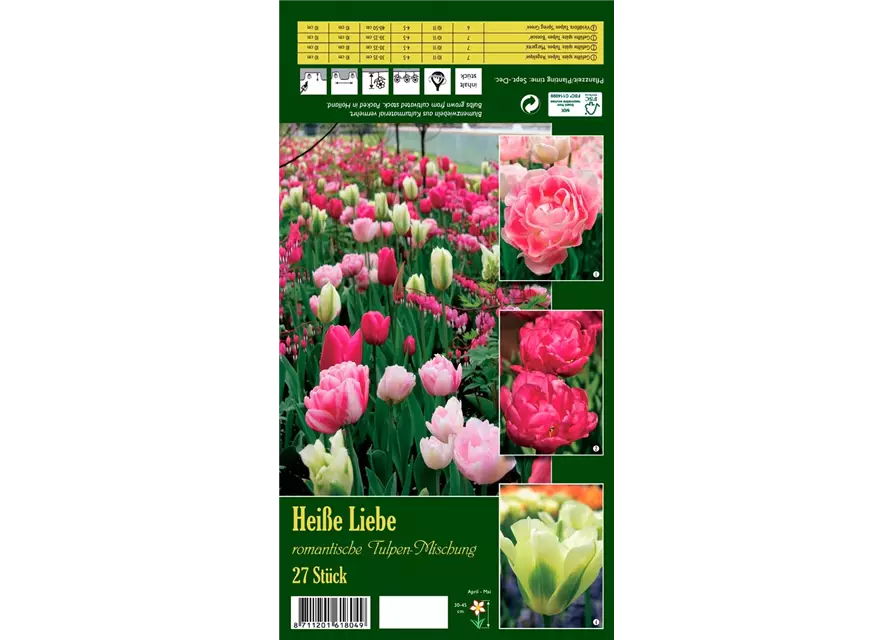 Tulpen-Mix 'Heiße Liebe'