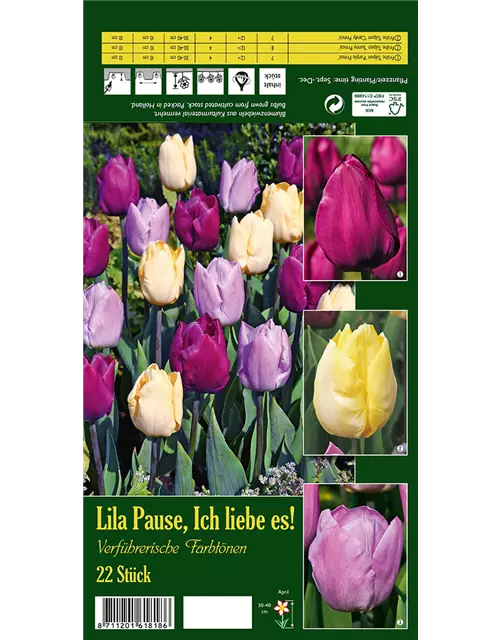 Tulpen-Mix 'Lila Pause, Ich liebe es!'