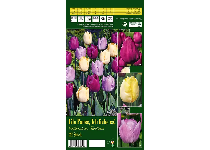 Tulpen-Mix 'Lila Pause, Ich liebe es!'