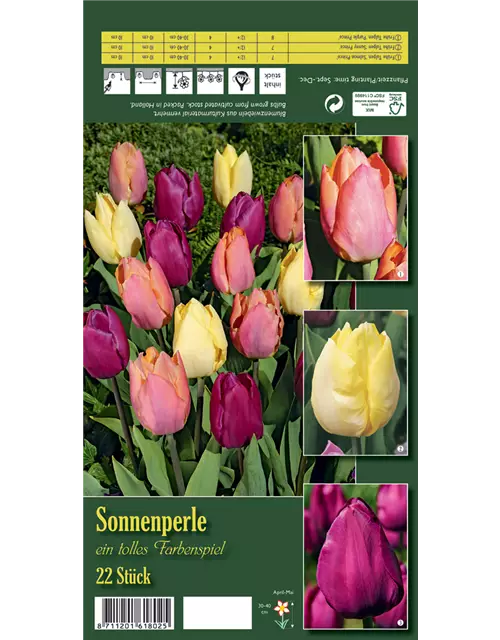 Tulpen-Mix 'Sonnenperle'