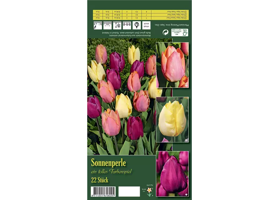 Tulpen-Mix 'Sonnenperle'