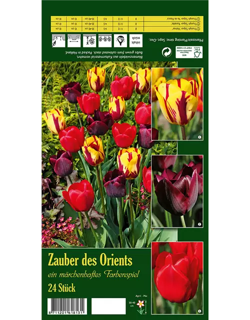 Tulpen-Mix 'Zauber des Orients'