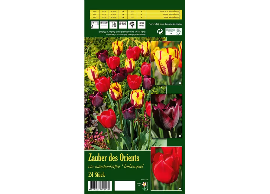 Tulpen-Mix 'Zauber des Orients'