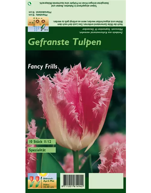 Tulpe 'Fancy Frills'