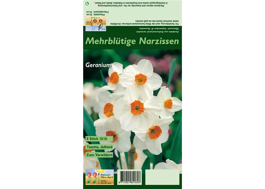 Tazetten-Narzisse 'Geranium'