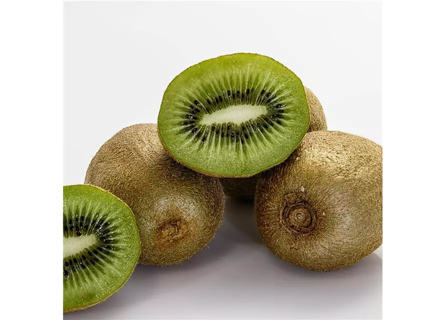 Kiwi