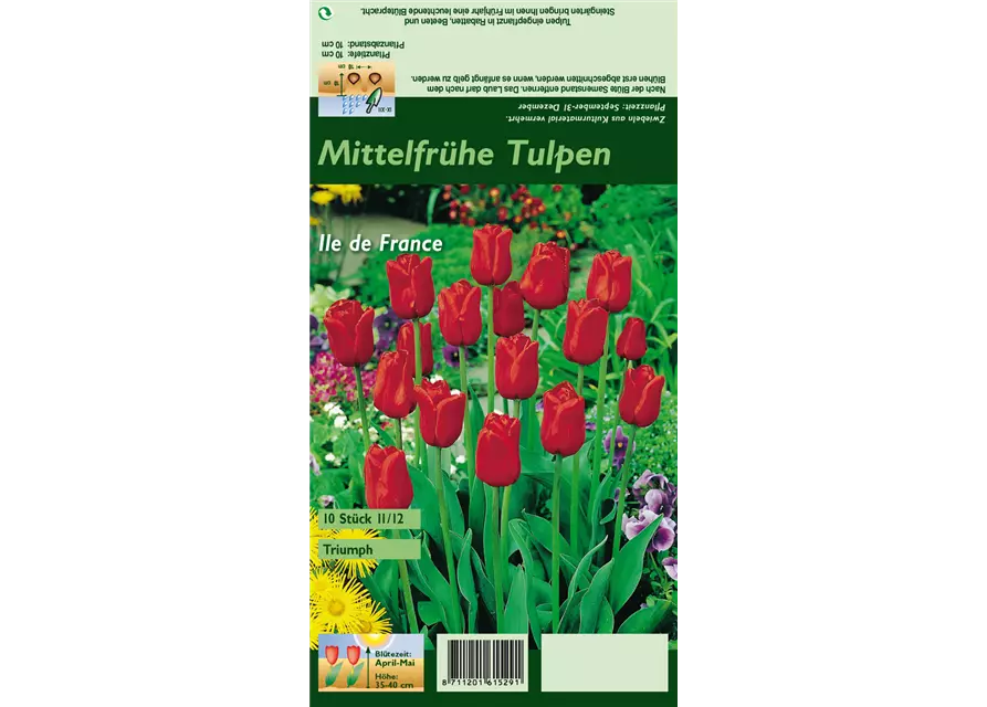 Tulpe 'Ile de France'