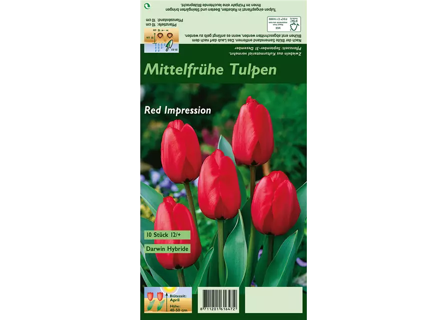 Tulpe 'Red Impression'