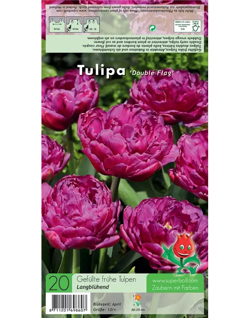 Tulpe 'Double Flag'