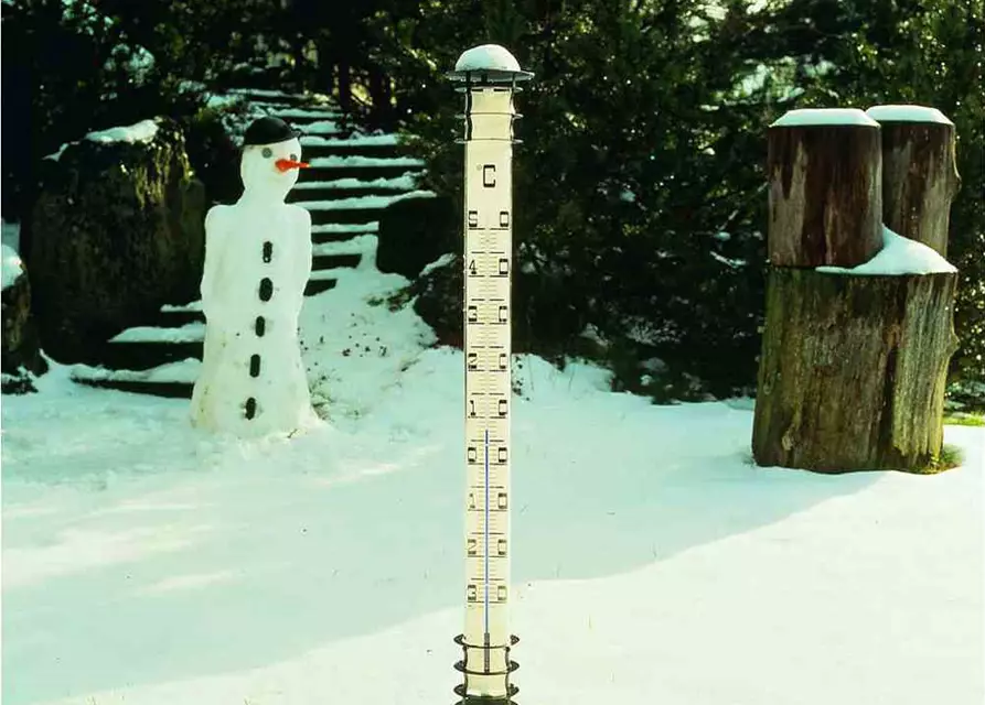 Tfa Dostmann Jumbo-Gartenthermometer 115cm Metall