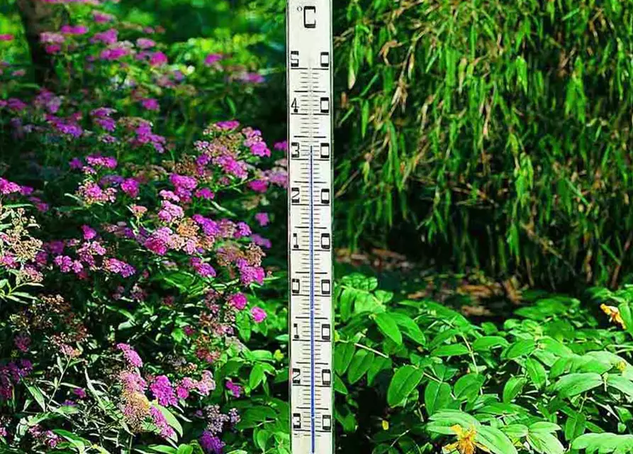 Tfa Dostmann Jumbo-Gartenthermometer 115cm Metall