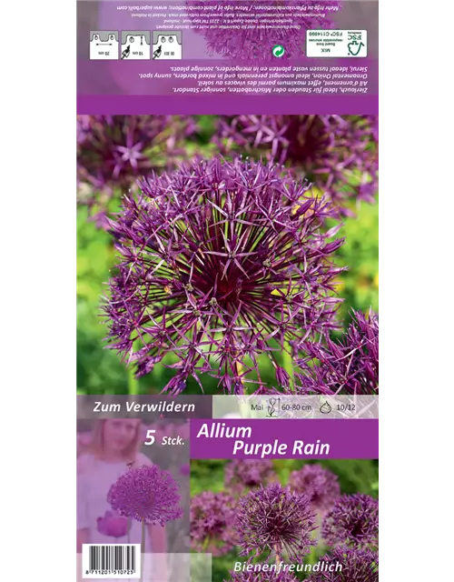 Zierlauch 'Purple Rain'