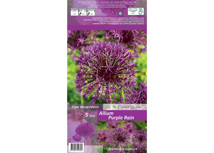 Zierlauch 'Purple Rain'