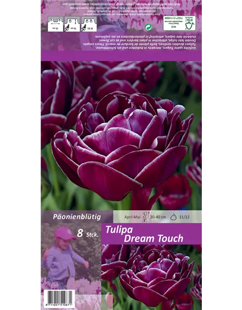 Tulpe 'Dreamtouch'