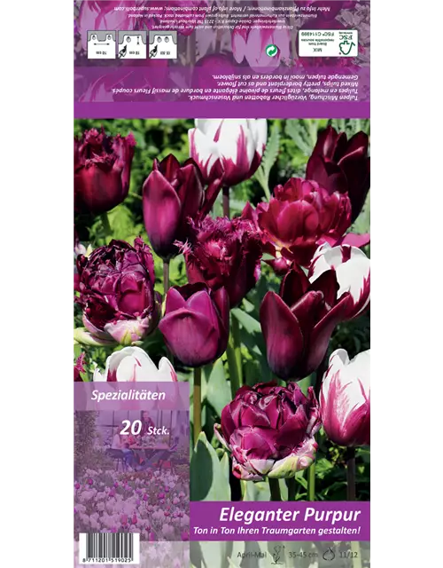 Tulpen 'Ton in Ton - Elegantes Purpur'