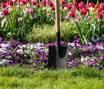 Die wichtigsten Termine im Jahr für die Gartenarbeit