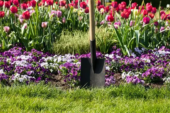 Die wichtigsten Termine im Jahr für die Gartenarbeit