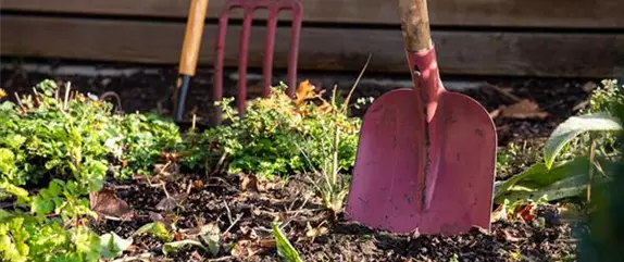 Die wichtigsten Termine im Jahr für die Gartenarbeit