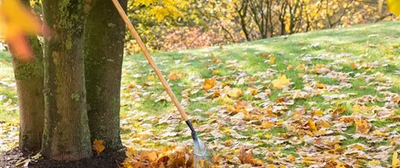 Die wichtigsten Termine im Jahr für die Gartenarbeit