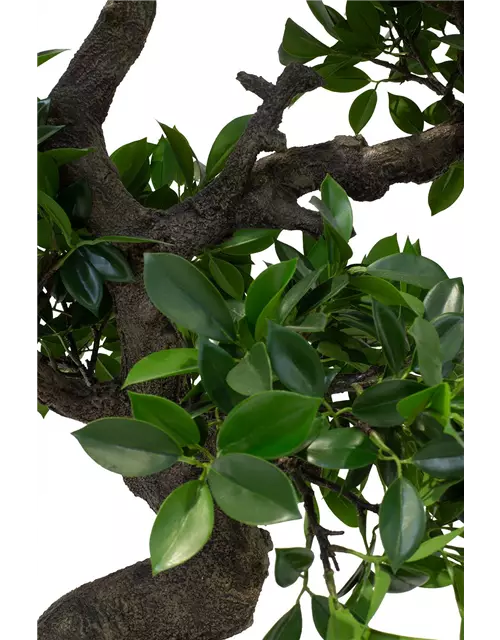 fleur ami FICUS BONSAI Kunstpflanze