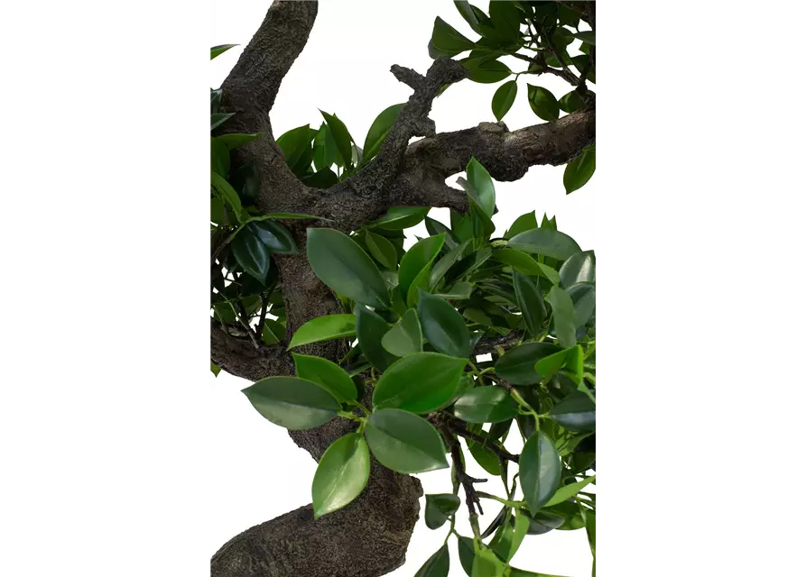 fleur ami FICUS BONSAI Kunstpflanze