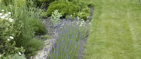 Kräuterbeet anlegen – so sollten Sie im Garten vorgehen