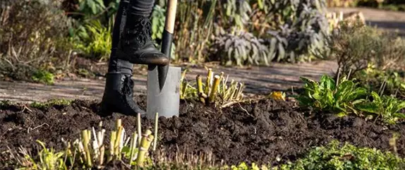 Mit diesen Tipps können Sie Ihren Gartenboden verbessern