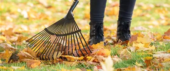 Mit diesen Tipps können Sie Ihren Gartenboden verbessern