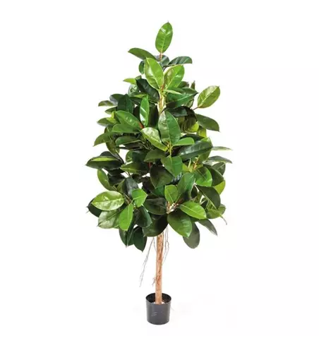 fleur ami FICUS ELASTICA Kunstpflanze