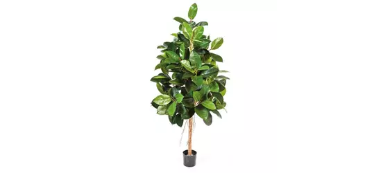 fleur ami FICUS ELASTICA Kunstpflanze