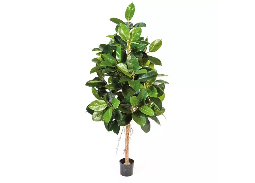 fleur ami FICUS ELASTICA Kunstpflanze