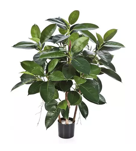 fleur ami FICUS ELASTICA Kunstpflanze